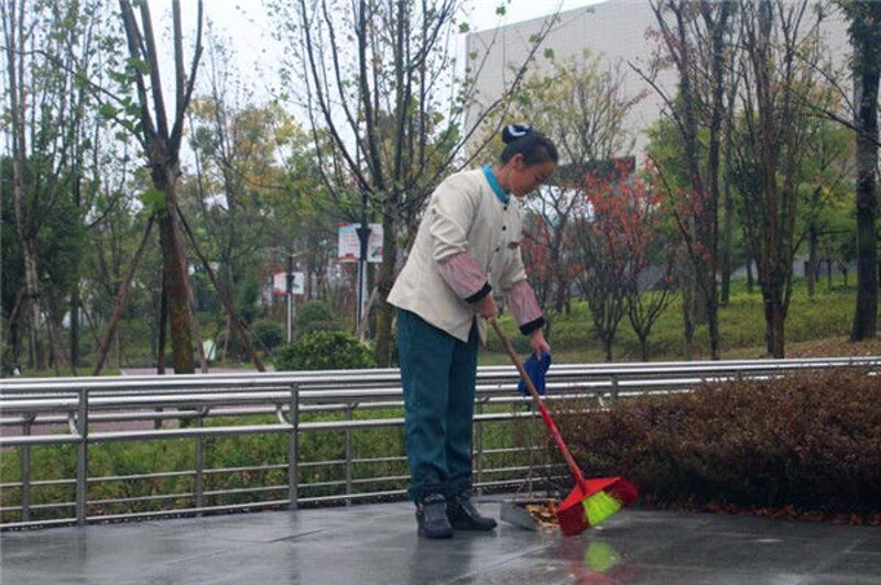绿化维护——城市的绿肺